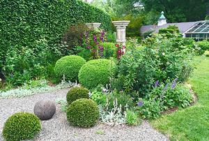 Garden of Peter Bevacqua and Stephen King
